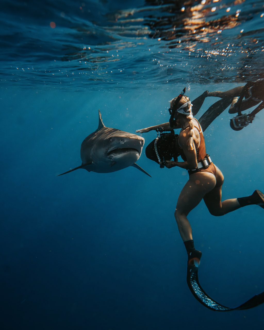 A Dive into the Ocean’s Wonders