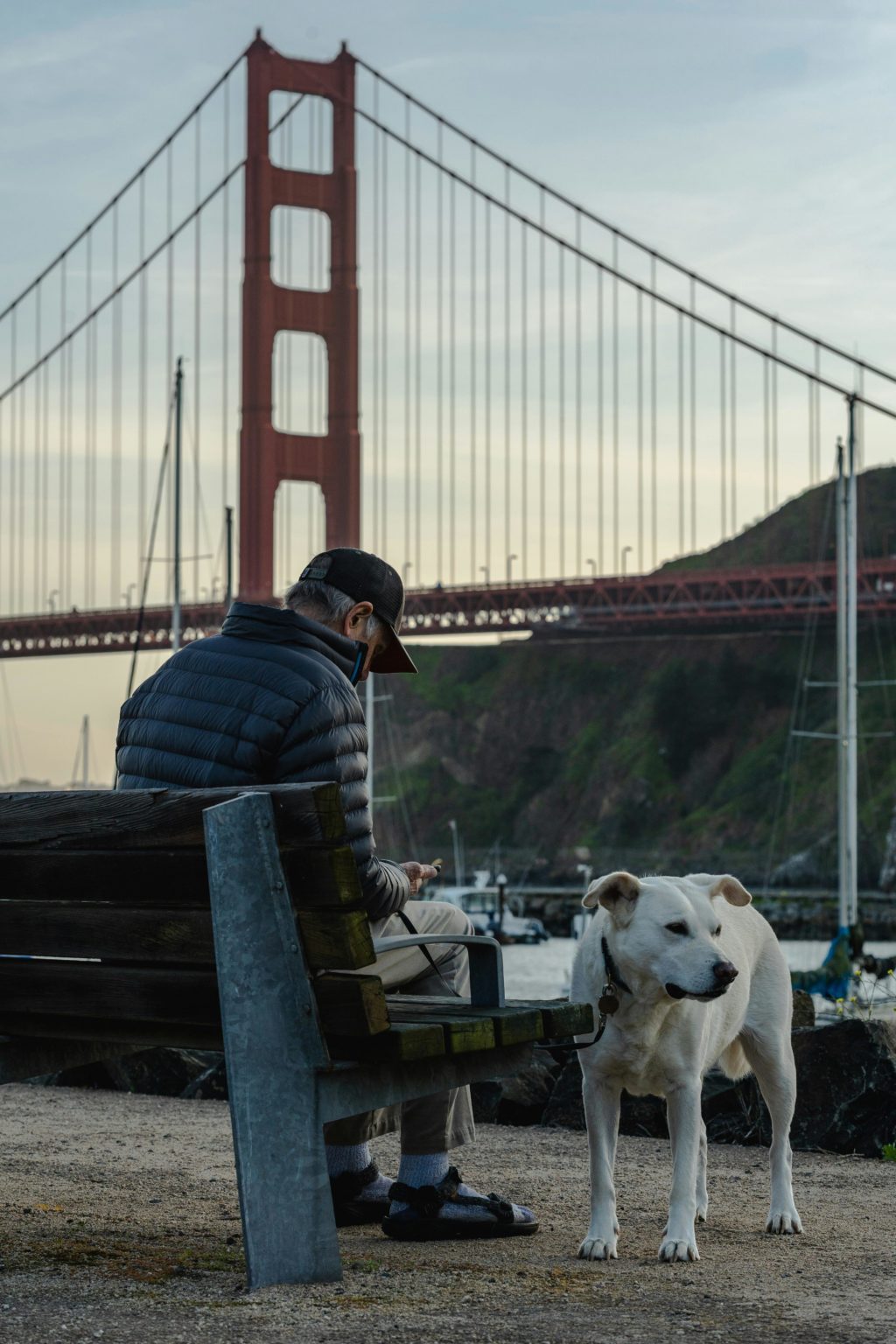 California: The Golden State of Innovation, Diversity, and Natural Beauty