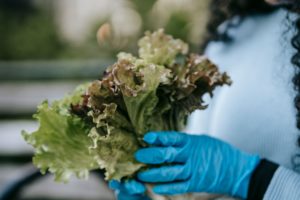 Intestinal Infection Outbreak Raises Concern Across the United States as Fresh Produce Comes Under Investigation