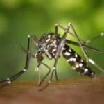 Experts Reinforce Dengue Prevention as Climate Changes Increase Health Risks